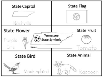 Preview of Tennessee State Symbols