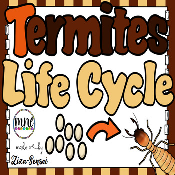 Preview of Termites Life Cycle Science Pack 2nd Grade Flip Book Included