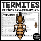 Termites Informational Text Reading Comprehension Workshee
