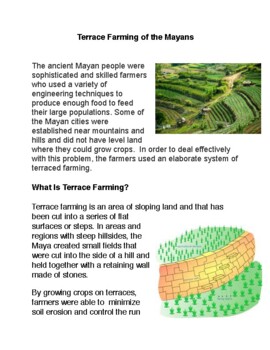 Preview of Terrace Farming of the Mayans PDF