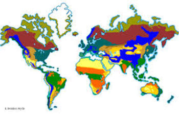 Preview of Terrestrial Biomes PPT Bundle