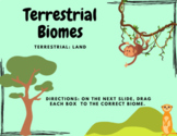 Terrestrial Biome Sort