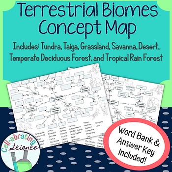 Terrestrial Biomes Concept Map By Cell Abrating Science Tpt