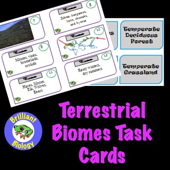 Preview of Terrestrial Biomes Task Cards
