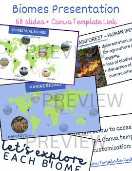 Preview of Terrestrial and Marine Biomes Presentation
