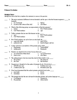 Primates Evolution Worksheets Teaching Resources Tpt