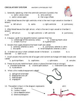 Preview of Test: Circulatory System (Anatomy)