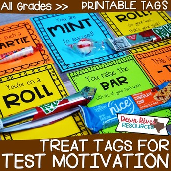 Preview of Test Motivation Treat Tags | Testing Motivation Treat Tags | Candy & Treat Tags