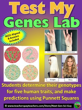 Preview of Test My Genes Lab: Students Use Their Traits to Practice Punnett Squares - NGSS