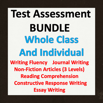 Preview of Test Prep Bundle:  Writing Fluency, Non-Fiction Reading, Short Answer, Essay