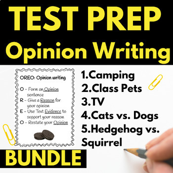 Preview of Text Based Writing Test Prep Opinion Writing Reading Test Prep BUNDLE 3rd grade