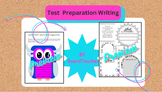 Test Preparation Writing Activity Plan