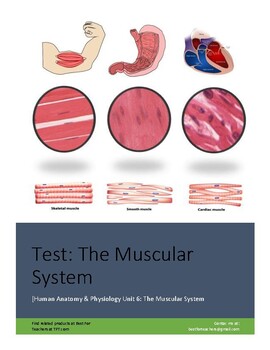 Preview of Test: The Muscular System (Human Anatomy & Physiology Unit 6:)