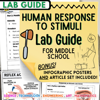 Preview of Test Your Reflexes! Response to Stimuli Lab Guide, Posters, Article Set & More!