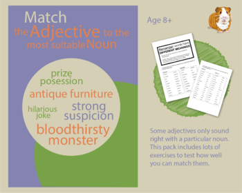 Preview of Test Yourself: Match The Adjective To The Most Suitable Noun (EFL Work Pack) 8+