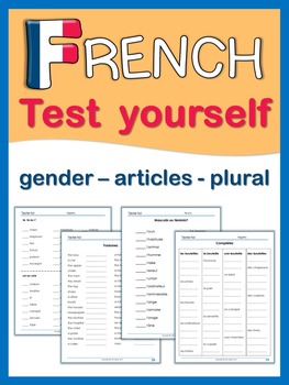 Preview of French  Test Yourself  gender, articles, plural