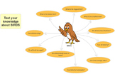 Test your knowledge about birds (mind map)