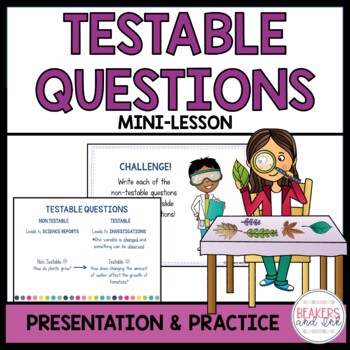 Preview of Testable & Non-Testable Questions Scientific Method FREEBIE