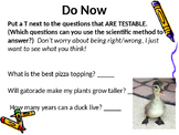 Testable Questions Powerpoint