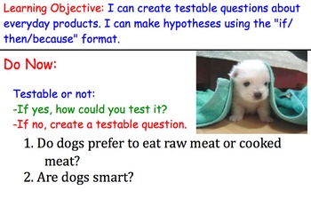 Preview of Testable Questions (Scientific Method) - Lesson Presentations, Master List of Qs