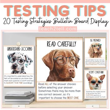 Preview of Testing Bulletin Board Test Taking Strategies Testing Motivation Posters Dog