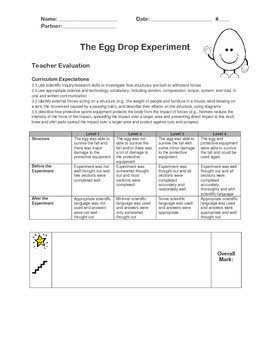 in zoe's egg drop experiment which two forces are balanced