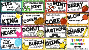 Preview of Testing Motivation and Encouragement Notes/ Treat Tags (15 total)