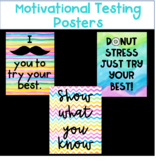 Testing Posters Motivational