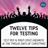 Testing Strategies Song Lyrics for Twelve Days of Christmas