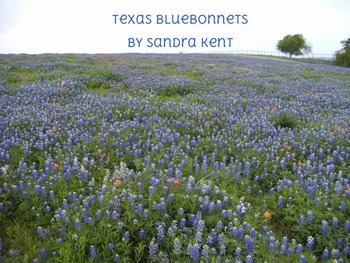 Preview of Texas Bluebonnets Ebook