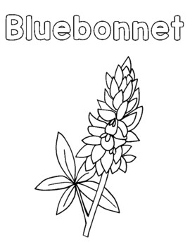 bluebonnet coloring page