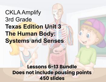 Preview of Texas Edition Human Bodies Unit 3 3rd Grade  Lessons 6-13 CKLA Amplify