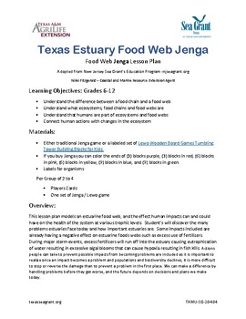 Preview of Texas Estuary Food Web Jenga