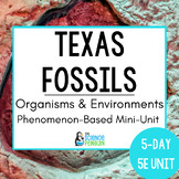 Texas Fossils Phenomenon Unit | 3rd Grade Life & Earth Sci