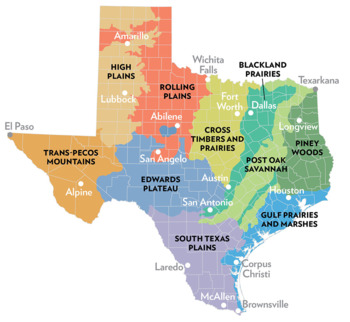 Texas History: Geography Assessment Template by Teaching Vibes | TPT