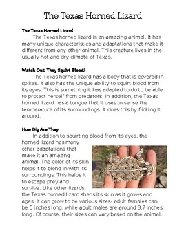 Preview of Texas Horned Lizard Nonfiction/Informational Text