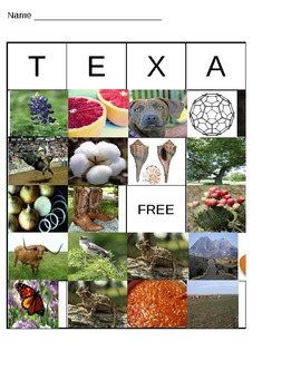Preview of Texas Symbol Bingo