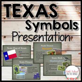 Preview of Texas Symbols Presentation