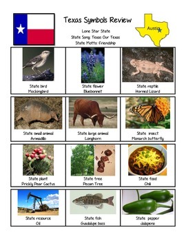 Preview of Texas Symbols review sheet, data, and test