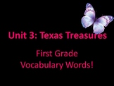 Texas Treasures First Grade Vocabulary Unit 3