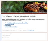 Texas Wildfire & Economic Impact