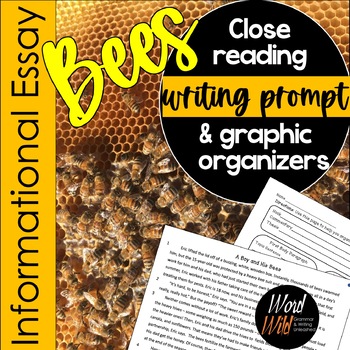 Preview of Text Based Essay Informational Writing on Bees Differentiated Paired Passages