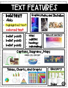 Preview of Text Feature Anchor Chart