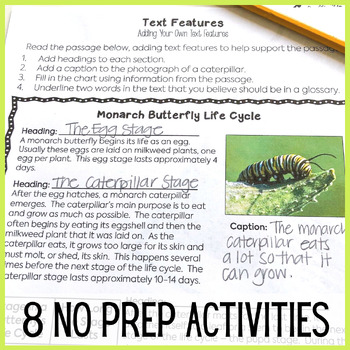 25 Text Features Worksheet 2nd Grade - Worksheet Project List