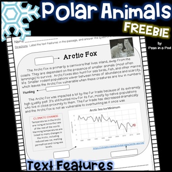Preview of FREE Text Features Activities 2nd, 3rd, 4th grade Polar Animals Reading Passages