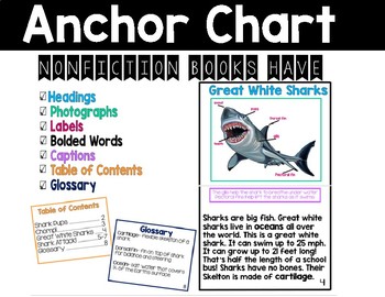 Preview of Text Features Anchor Chart