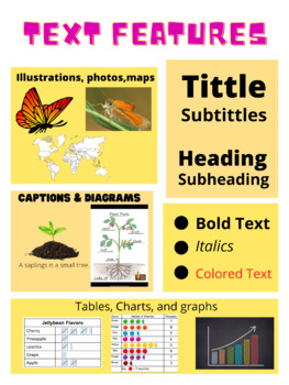 Preview of Text Features Anchor Chart/Poster