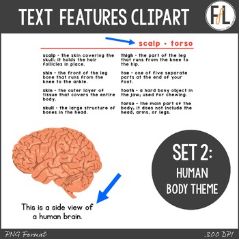 Preview of Text Features Clipart - Nonfiction, Informational Text - Set 2