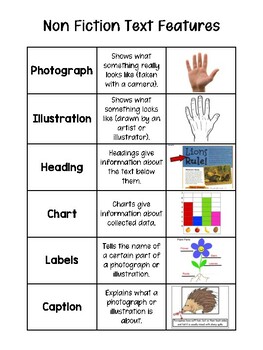 Preview of Text Features Graphic Organizer and Activity