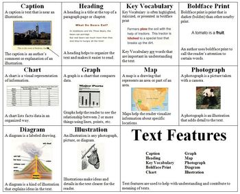 Preview of Text Features Poster - RI.1.5, RI.2.5, RI.3.5